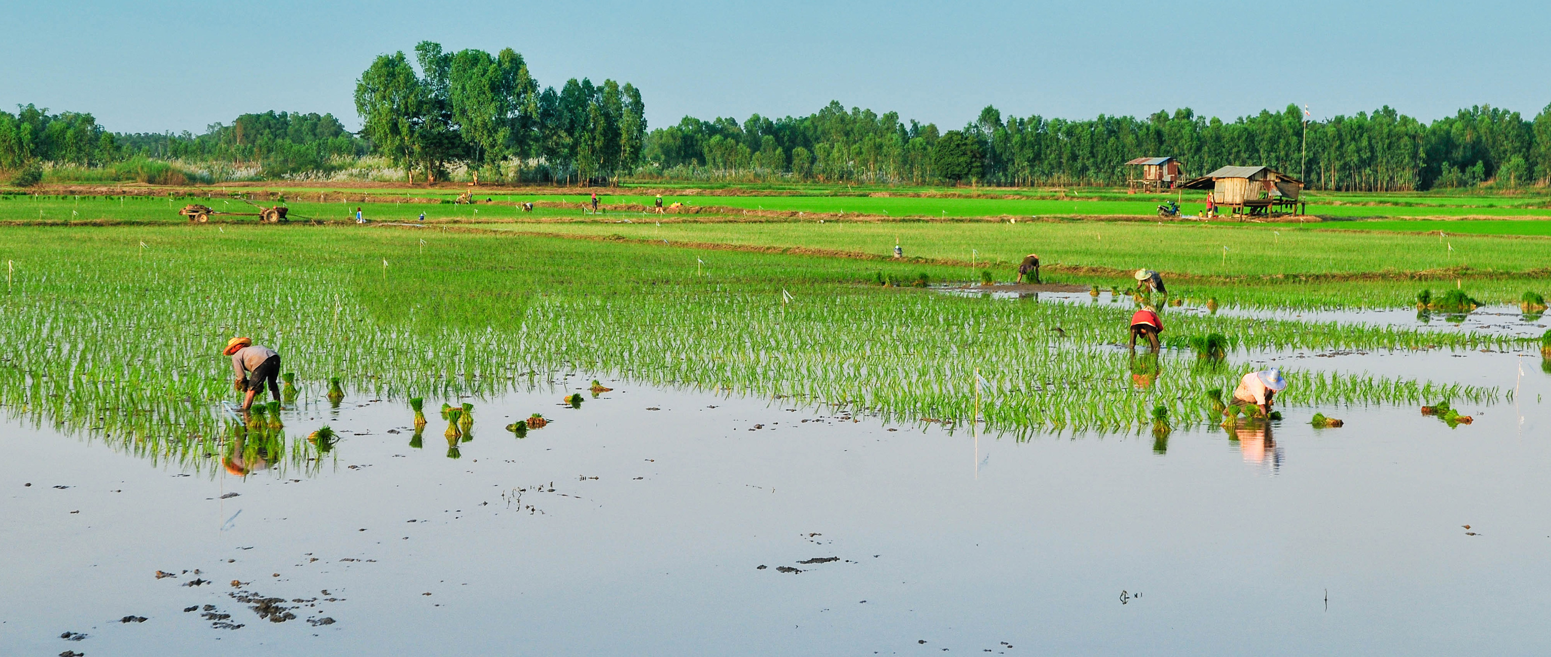 Secure Land Rights: A Sustainable Solution at the Intersection of Climate Change and COVID-19