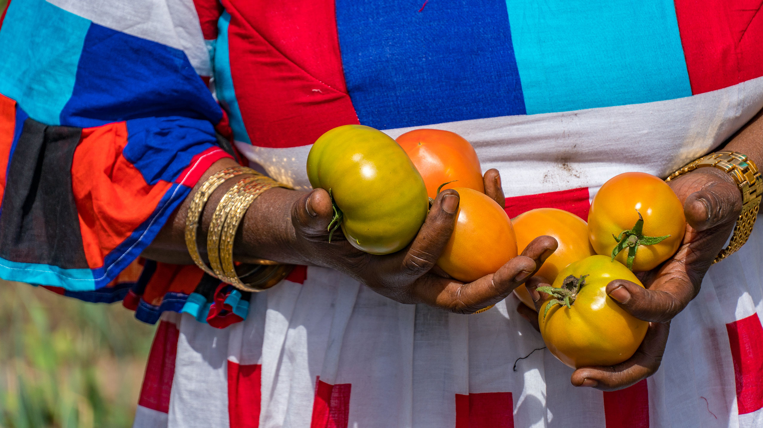 Land Tenure: A Cross-Cutting Solution for Poverty, Climate Change, and Women's Rights